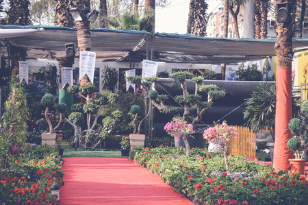 Giza, Egypt, march 25, 2017 red carpet inside orman gardenのeditorial素材