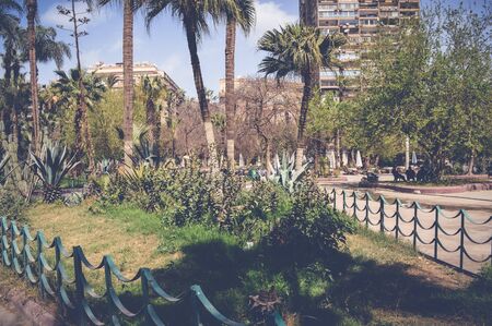 cairo, egypt, march 11, 2017: view inside fish garden in sunny dayの写真素材