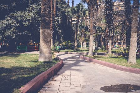 cairo, egypt, march 11, 2017: view of road inside fish garden