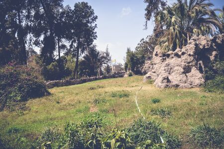 cairo, egypt, march 11, 2017: view of green nature inside fish gardenの写真素材