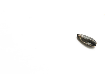 sunflower seed isolated on whiteの写真素材