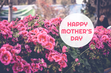 happy mother's day card with pink flowers backgroundの写真素材