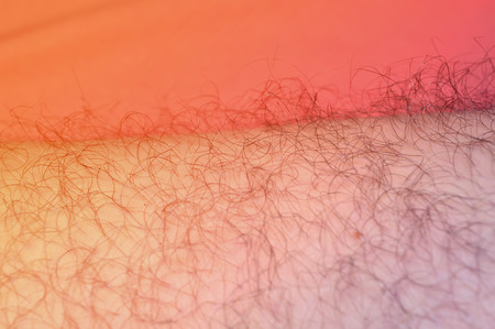 closeup of man hairy leg, healthcare conceptの写真素材