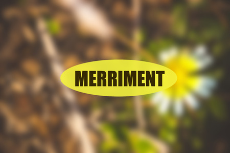 MERRIMENT word on blurred flower background