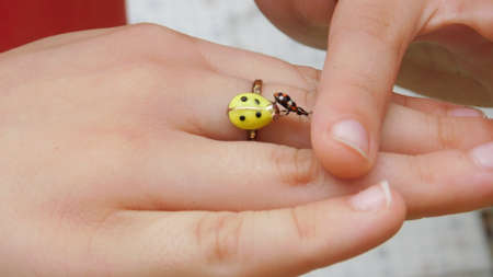 child playing with ladybug on fingers and ladybird ringの写真素材