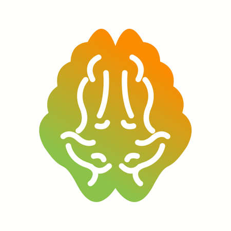 Beautiful Brain Vector Glyph icon