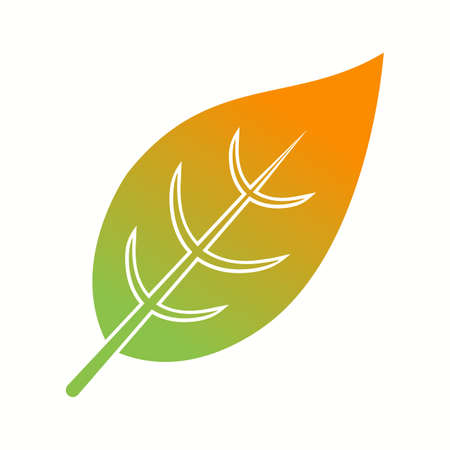 Unique Leaf Vector Glyph Iconのイラスト素材