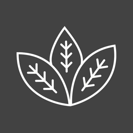 Unique Spearmint Vector Line Iconのイラスト素材