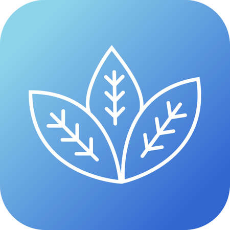 Unique Spearmint Vector Line Iconのイラスト素材