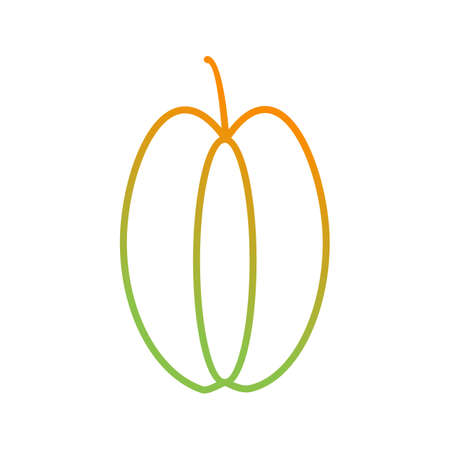 Unique Carambola Vector Line Iconのイラスト素材