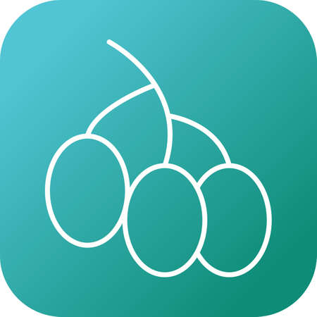 Unique Berries Vector Line Iconのイラスト素材
