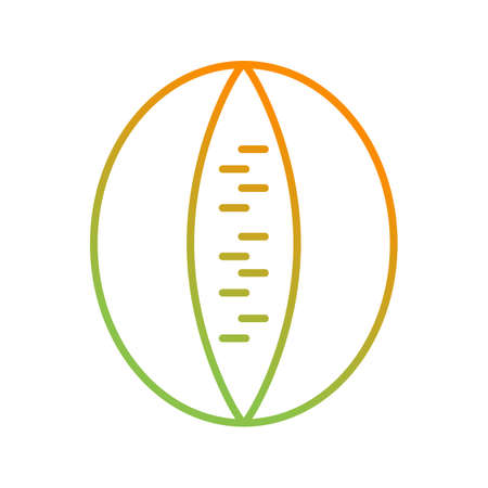 Unique Rockmelon Vector Line Iconのイラスト素材