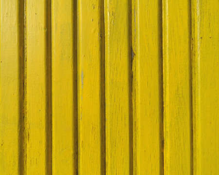 Yellow backgroundの写真素材