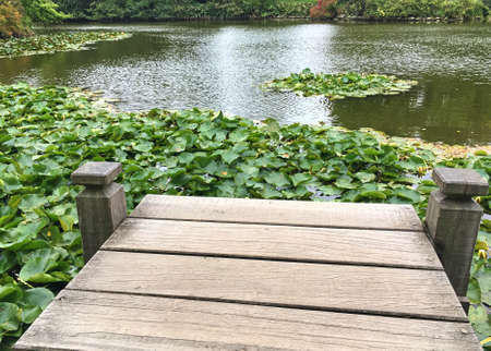 Wooden pierの写真素材