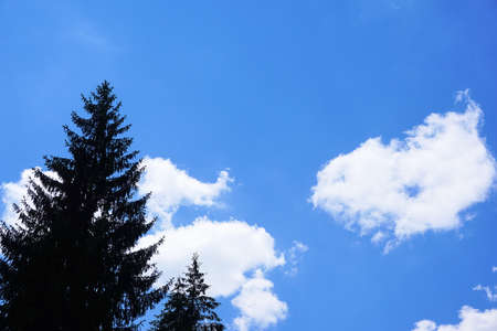 Green mountain with beautiful cloudsの写真素材