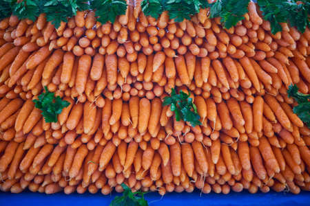 Fresh and organic carrots on the local marketの写真素材