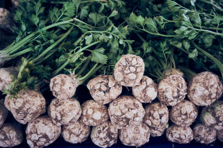 Fresh and organic celery in the local marketの写真素材