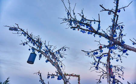 Evil eye charms hanging on a tree
