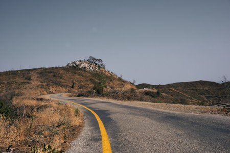 An empty road in natureの写真素材