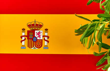 Spanish Flag with olive branch symbol of peaceの写真素材