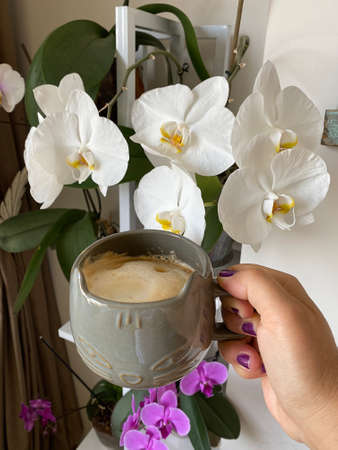 Time for a fresh coffeeの写真素材