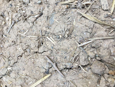 Cracked soil because of drought.