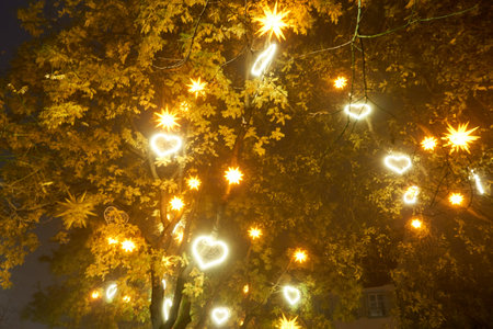 Christmas background with tree branches