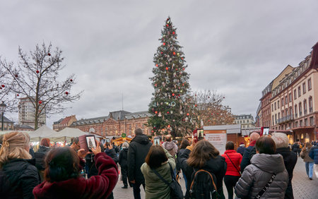 Strasbourg, France - December 10, 2025: View of the oldest Christmas market in the world with people in front of the biggest Christmas tree in Europe.のeditorial素材