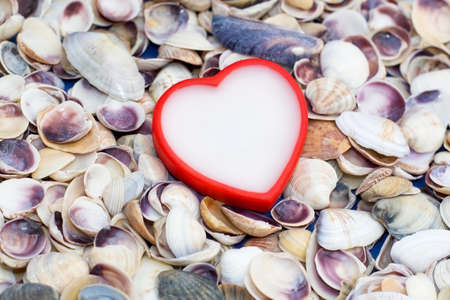 white with a red heart on a background of seashells. romantic love background for Valentine's day, birthday, holiday, party, wedding.の写真素材