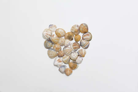 heart made of shells on a white background. romantic love background for Valentine's day, birthday, holiday, party, wedding.の写真素材