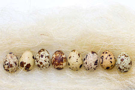 Easter quail eggs in the straw on a white background. Easter background.の写真素材