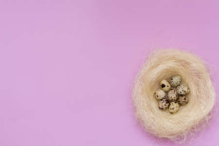 Easter quail eggs in a nest. Easter festive. Top view. Flat lay.の写真素材
