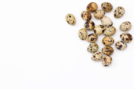 Quail eggs on white backgroundの写真素材