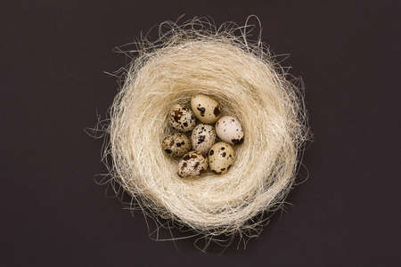 Few quail eggs in the nest on black backgroundの写真素材