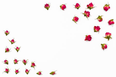 Frame for text from dried flowers of rose on white background. Flat lay.の写真素材