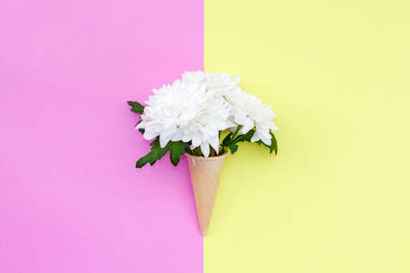 chrysanthemum flower in a waffle cone on a yellow and pink background. Flat lay. Top view.の写真素材