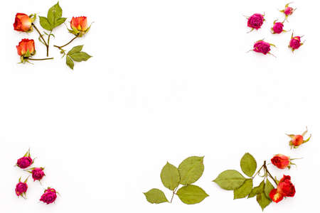 Dry rose flowers and branches with leaves in the corners on a white background. Top view. Flat lay. Frame of flower with empty space for text. Flat lay.の写真素材