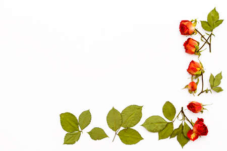Frame from flowers roses with green leaves on a white background. Flower pattern for greeting cards for holiday, wedding, birthday, Valentine's day party. Flat lay/ Top view.の写真素材