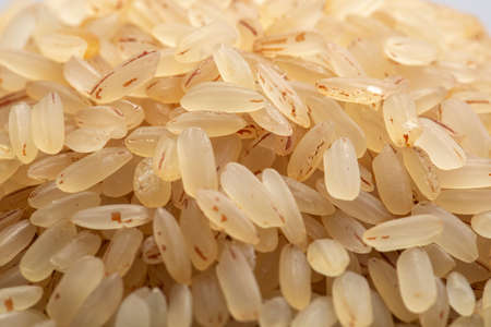 Kerala Matta rice _parboiled rice or palakadan matta or red rice arranged beautifully in a vessel which is used traditionally for measuring in kerala named nazhi and placed on a white colour background.の写真素材