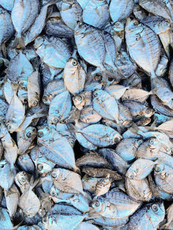 Dried Fish, varieties of dried fish in market arranged in baskets,selective focus.の写真素材