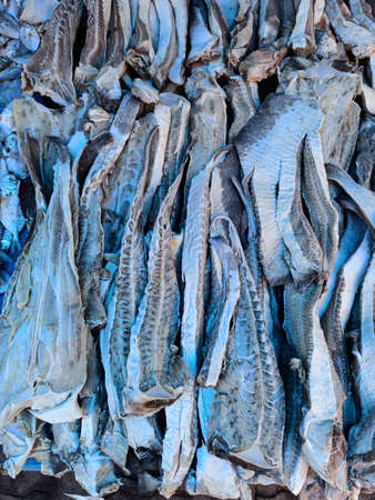 Dried Fish or dried whiprey fish steaks  arranged in the market for selling.の写真素材