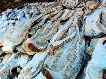 Dried Fish, varieties of dried fish in market arranged in baskets,selective focus.の写真素材
