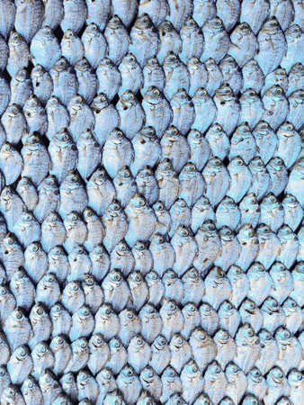 Dry Fish,dried silver belly fish or Kerala pony fish arranged beautifully in rows, in the market
