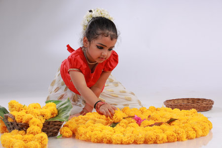 A cute small girl child wearing  Kerala dress-golden colour long skirt and red blouse,onam festival theme, isolated white background.の写真素材