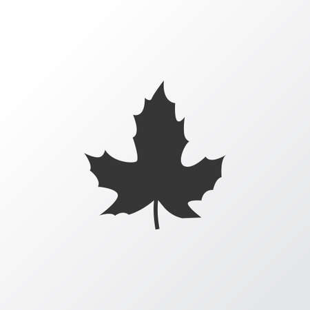 Maple Icon Symbol. Premium Quality Isolated Leaf Element In Trendy Style.のイラスト素材