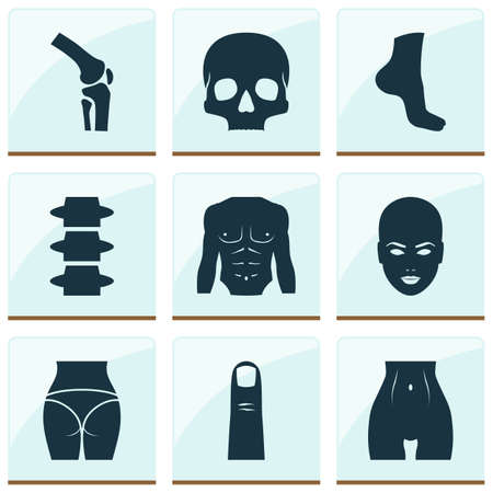 Physique icons set with athletic, backbone, skeleton and other slim
 elements. Isolated vector illustration physique icons.のイラスト素材