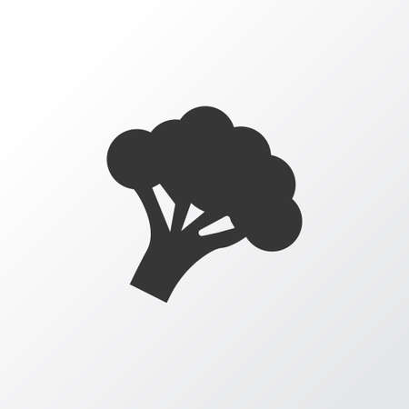 Nutrition icon symbol. Premium quality isolated broccoli element in trendy style.の写真素材