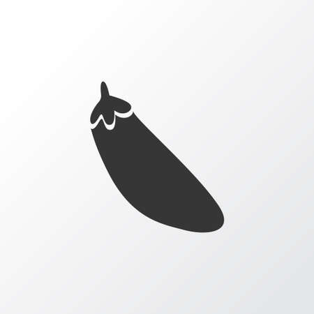 Eggplant icon symbol. Premium quality isolated aubergine element in trendy style.の写真素材