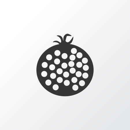 Garnet icon symbol. Premium quality isolated pomegranate element in trendy style.のイラスト素材