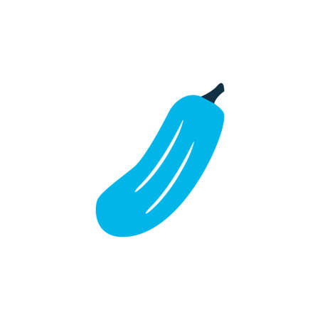 Gherkin icon colored symbol. Premium quality isolated cucumber element in trendy style.の写真素材